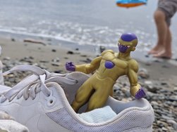 IMG_20240918_133021.jpg