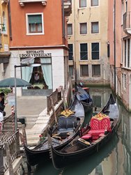 IMG_20240915_143228.jpg