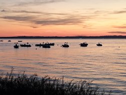 IMG_20240910_195940.jpg