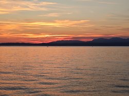 IMG_20240910_194347.jpg