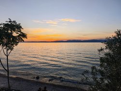 IMG_20240910_194342.jpg