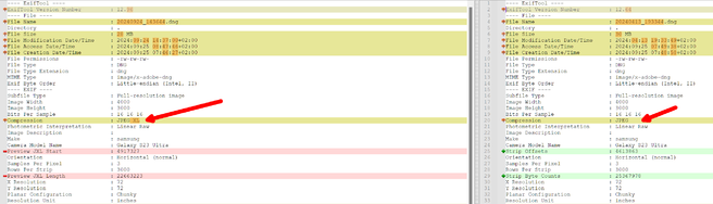 1727246945688.png