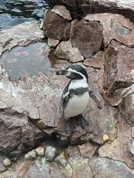 IMG_8843.jpeg
