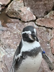 IMG_8844.jpeg