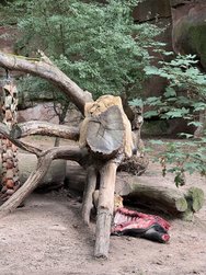 IMG_8794.jpeg