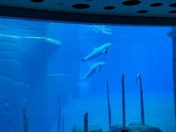 IMG_8778.jpeg