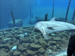 IMG_8771.jpeg