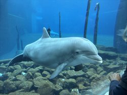 IMG_8774.jpeg