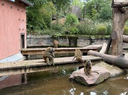 IMG_8729.jpeg