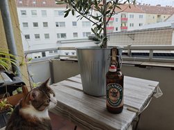 IMG_20240923_184331.jpg