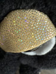 IMG_6595.jpeg