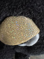IMG_6587.jpeg