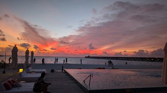 PXL_20240923_131911536.RAW-01.COVER.jpg