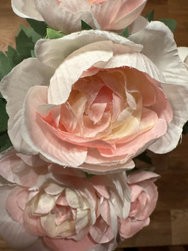 IMG_1397_600.jpg