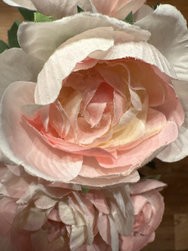 IMG_1398_600.jpg