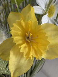 IMG_6607.jpeg