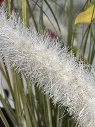 IMG_6608.jpeg