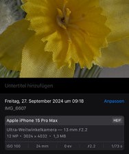 IMG_6610.jpeg