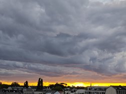 IMG_20240927_183607.jpg