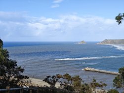 IMG_20240927_175334.jpg