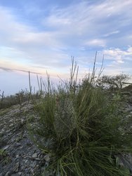IMG_20240922_073933.jpg