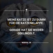 post2 (4) (21).jpg