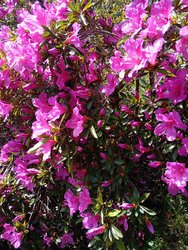 IMG_20240928_143358.jpg