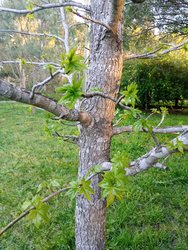 IMG_20240928_181129.jpg