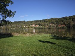 Xiaomi 14 Leica Authentic 1x.jpg