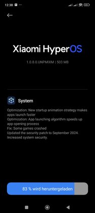 Screenshot_2024-09-29-12-38-04-975_com.android.updater.jpg