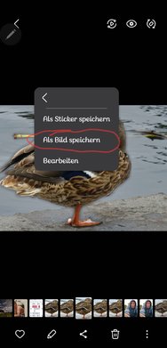 Screenshot_20240929_192524_Gallery.jpg