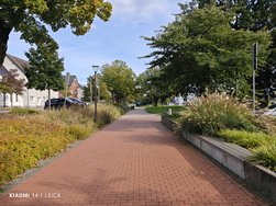 IMG_20240929_155447.jpg