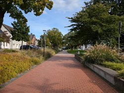 PXL_20240929_135429150.jpg
