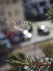 IMG_20240929_155540.jpg