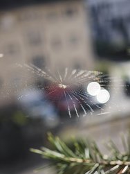 IMG_20240929_155530.jpg