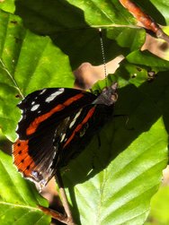 IMG_20240921_161711.jpg