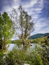 20240928_164507_RAW24MP.jpg