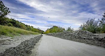20240928_160809_RAW24MP.jpg