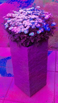 20240930_114358_v1.jpg