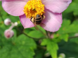 IMG_20240804_101330.jpg