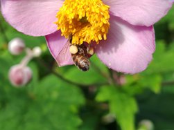 IMG_20240804_101333.jpg