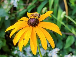 IMG_20240806_104034.jpg