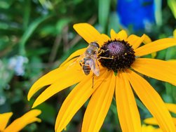 IMG_20240806_104046.jpg