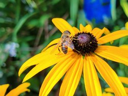 IMG_20240806_104048.jpg