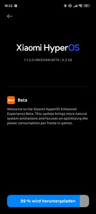 Screenshot_2024-10-02-18-22-54-130_com.android.updater.jpg
