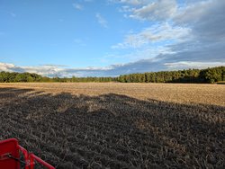 PXL_20241002_154533548.jpg