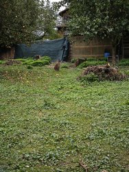 IMG_20241003_154036.jpg