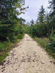 IMG_20241003_162303947_HDR_AE[1].jpg