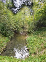 IMG_20241003_162641182_HDR_AE[1].jpg
