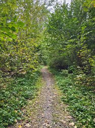 IMG_20241003_162845055_HDR_AE[1].jpg